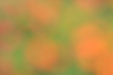 renkli arka plan bulanık