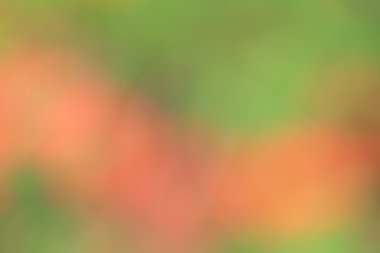 renkli arka plan bulanık