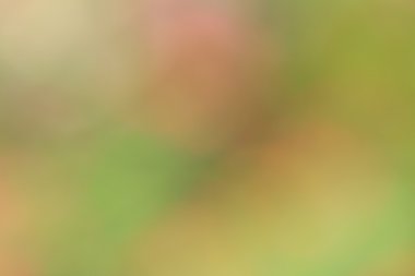 renkli arka plan bulanık