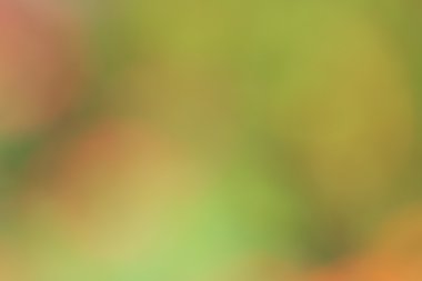 renkli arka plan bulanık