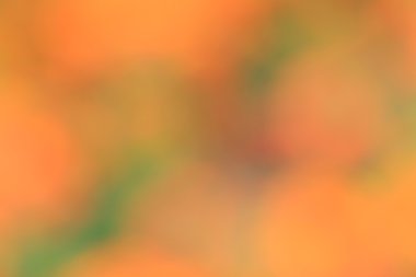 renkli arka plan bulanık