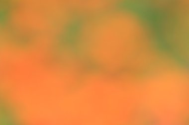 renkli arka plan bulanık