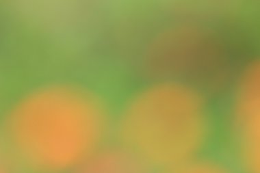 renkli arka plan bulanık