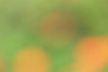 renkli arka plan bulanık