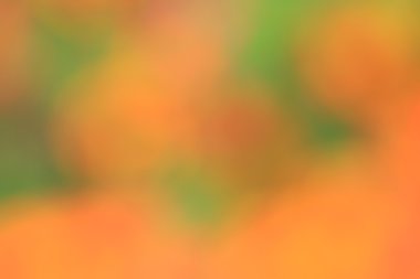 renkli arka plan bulanık