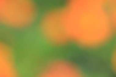 renkli arka plan bulanık