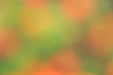 renkli arka plan bulanık