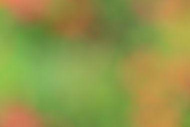 renkli arka plan bulanık