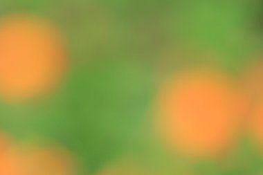 renkli arka plan bulanık