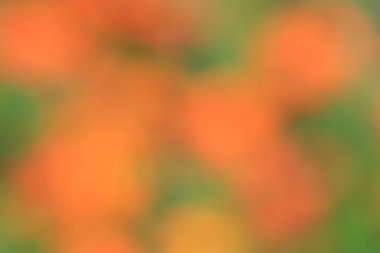 renkli arka plan bulanık