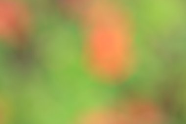 renkli arka plan bulanık