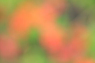 renkli arka plan bulanık