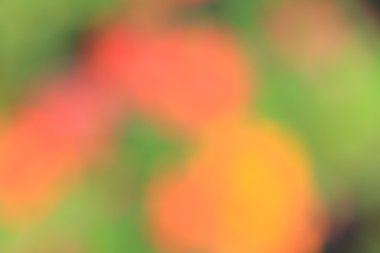 renkli arka plan bulanık