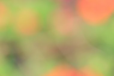 renkli arka plan bulanık