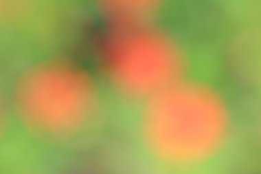 renkli arka plan bulanık