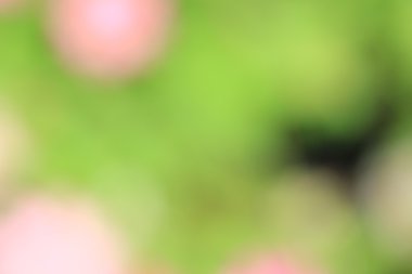 renkli arka plan bulanık