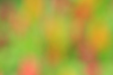 bulanık çiçek arka plan