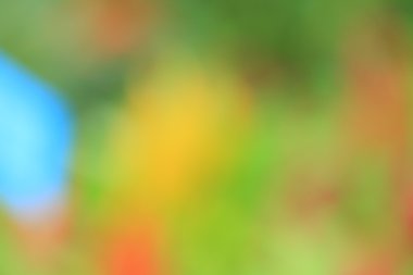 bulanık çiçek arka plan