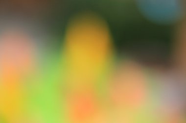 bulanık çiçek arka plan