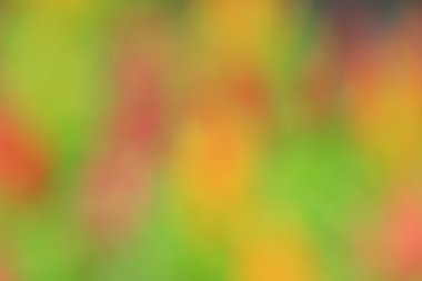 bulanık çiçek arka plan