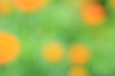 bulanık çiçek arka plan