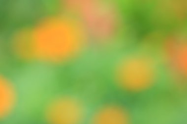 bulanık çiçek arka plan