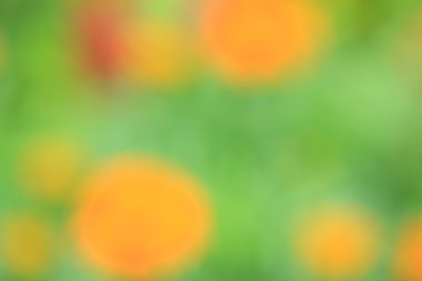 bulanık çiçek arka plan