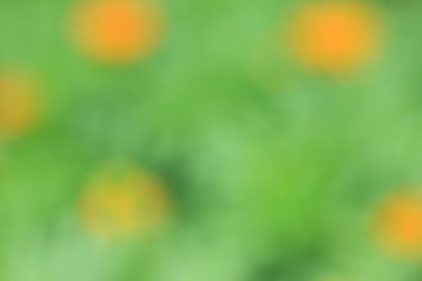 bulanık çiçek arka plan