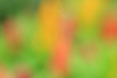 bulanık çiçek arka plan