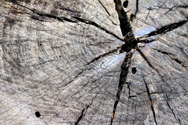 antika ahşap arka plan