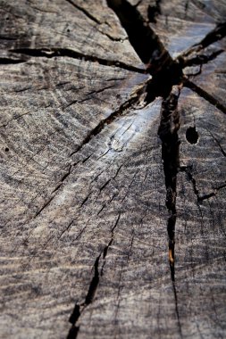 antika ahşap arka plan