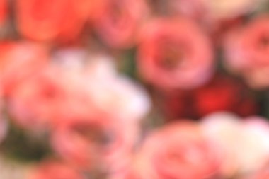 Yapay çiçek güzel vintage gül bulanık