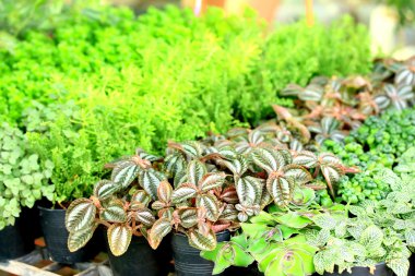 arka plan bulanık doku