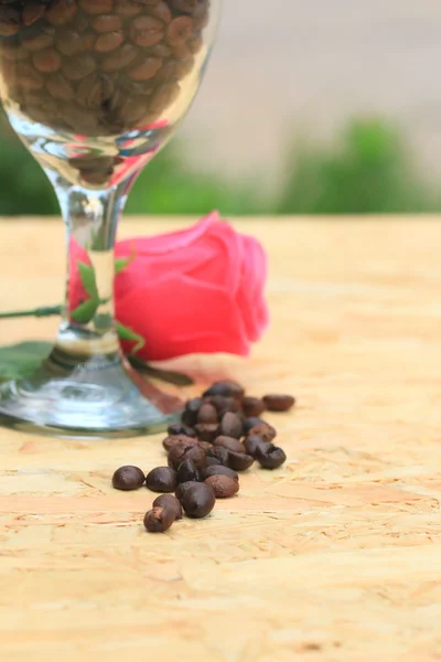 Кофейные зерна и розовые розы — стоковое фото