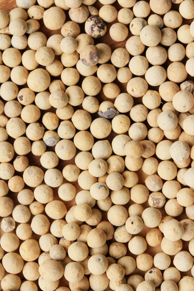 Sementes de pimenta branca no fundo de madeira . — Fotografia de Stock