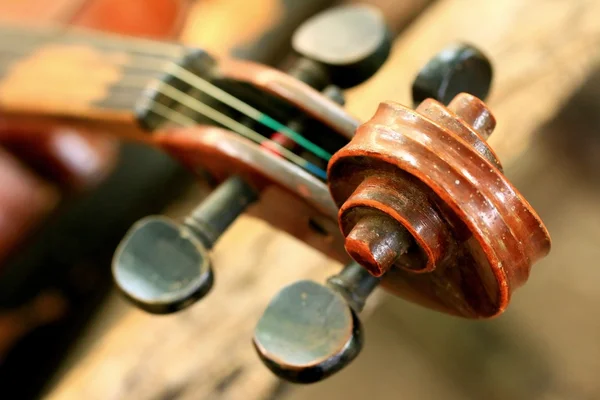 Violin — Stock Photo, Image