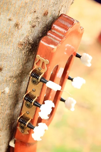 Guitar — Stock Photo, Image