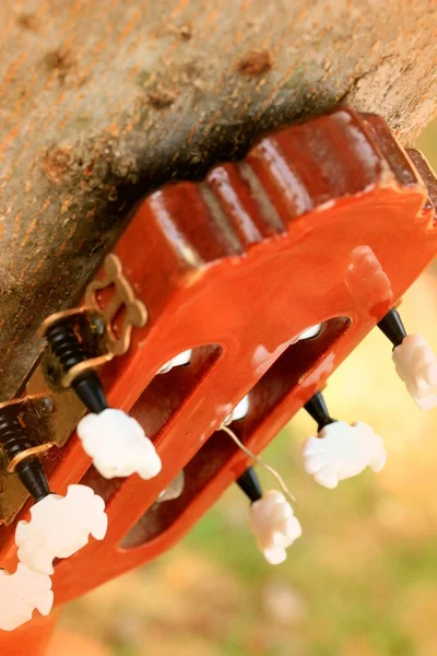 Guitar — Stock Photo, Image