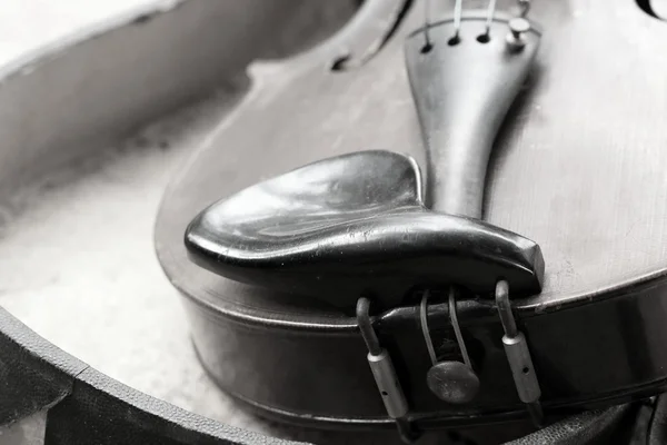 Violon — Photo