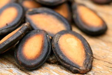 ahşap zemin üzerinde karpuz tohumu