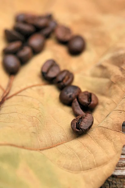 Coffee beans — Stock Photo, Image