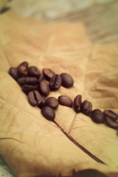 Coffee beans — Stock Photo, Image