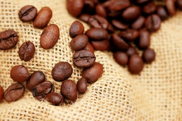 Coffee beans Stock Image