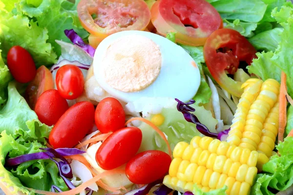 마요네즈와 야채 샐러드 계란 — 스톡 사진
