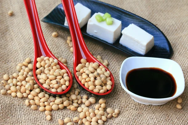 日本の豆腐と大豆 — ストック写真