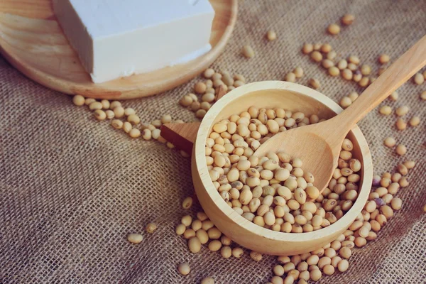 Soybeans and tofu — Stock Photo, Image