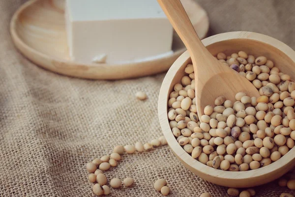 Soybeans and tofu — Stock Photo, Image