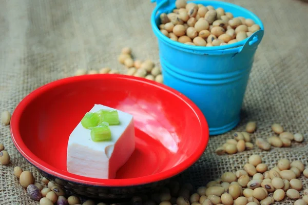 Soja e tofu — Fotografia de Stock