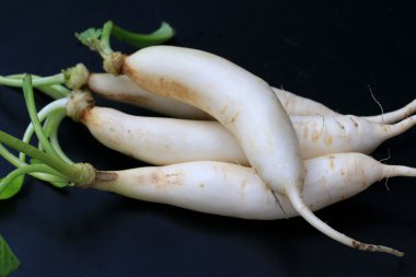 Siyah arkaplanda turp.