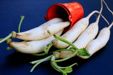 Siyah arkaplanda turp.